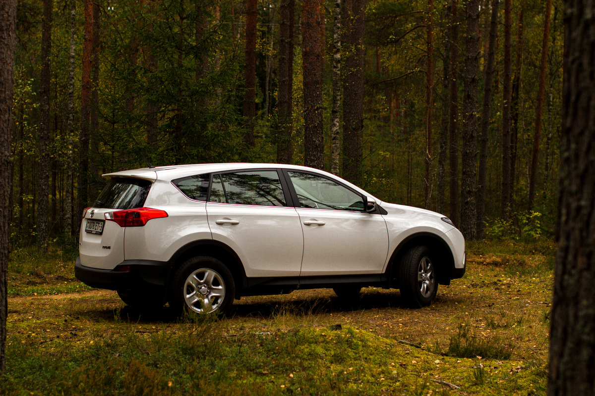 Rav4 в лесу - Александр Фролов