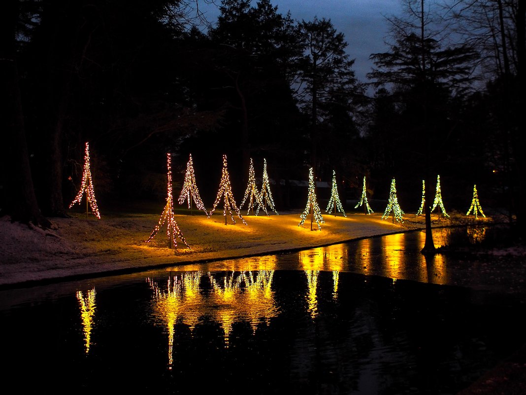 Longwood Garden - Vadim Raskin