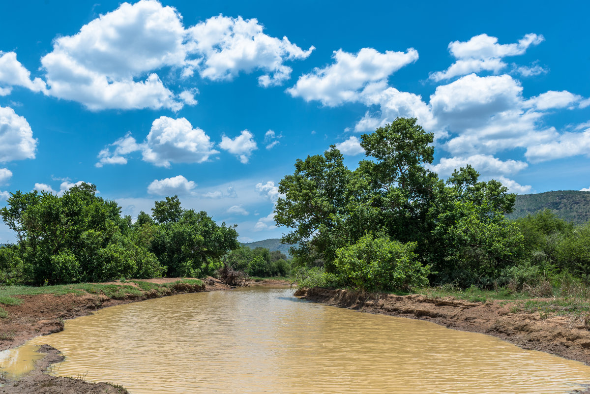 Pilanesberg national park. ЮАР - Ирина Кеннинг