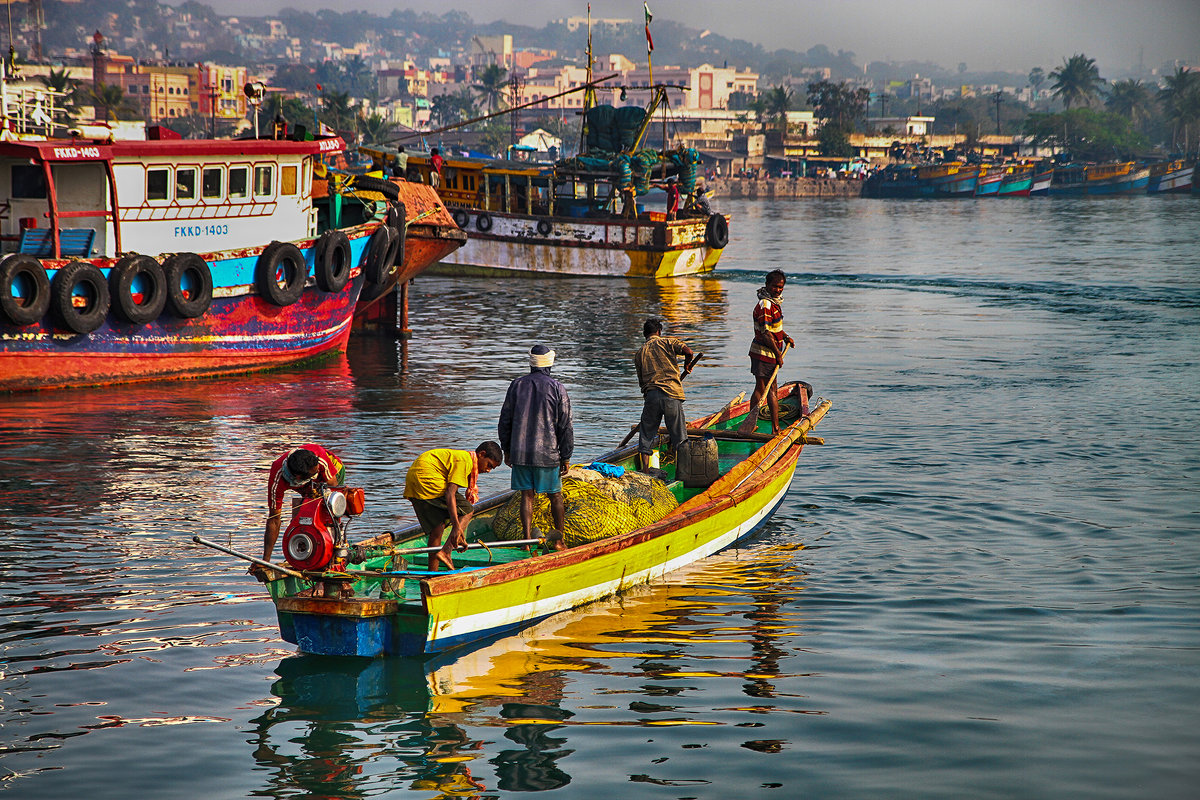 Марина Махова - The indian fish market - Фотоконкурс Epson