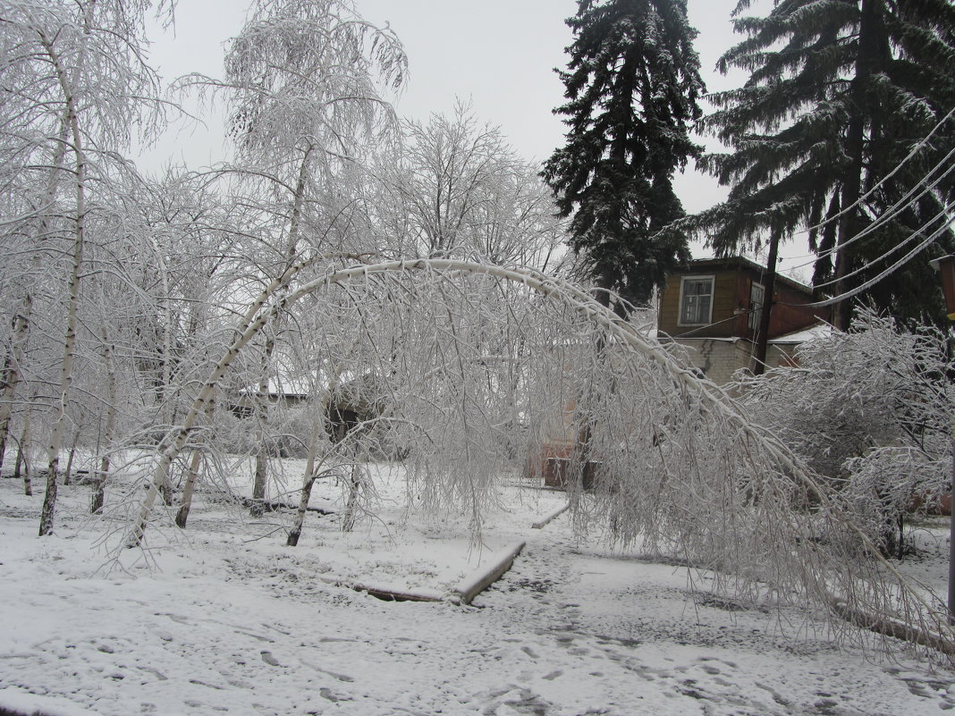 Зима - Oksana KU
