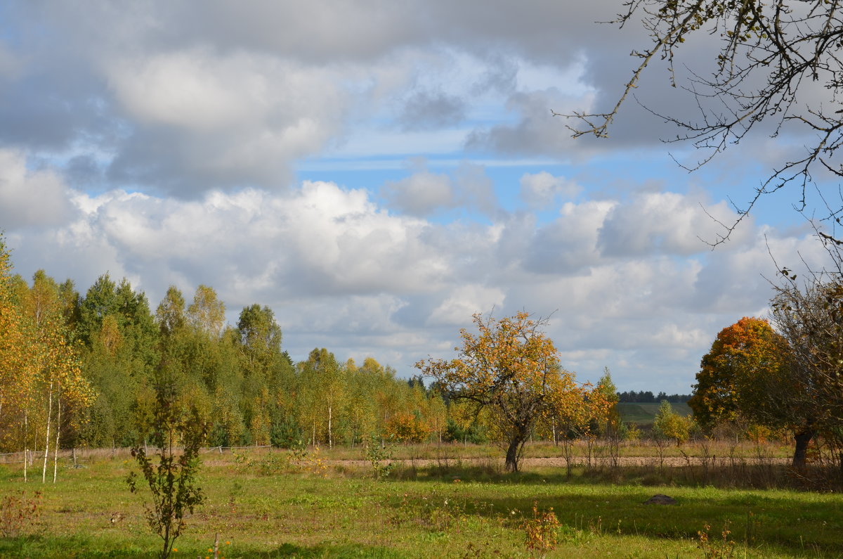 Осенний пейзаж - Ольга Оглоблина