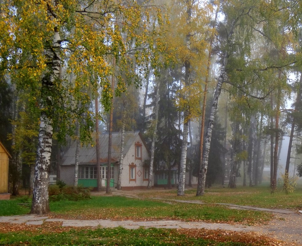 осень.... туман - Валентина. .