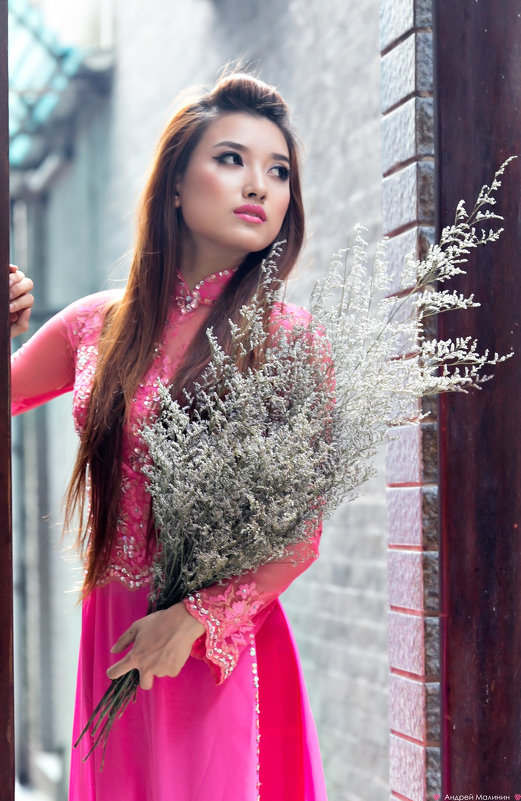 Вьетнамская красавица - Андрей Малинин