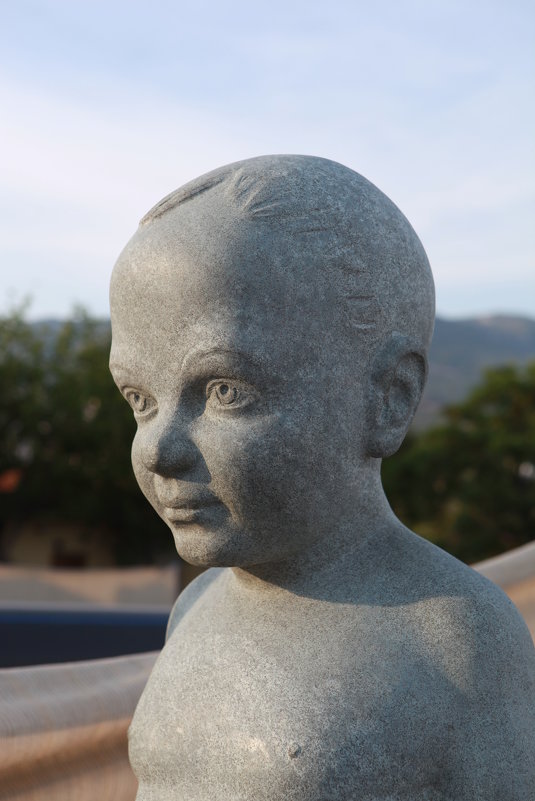 Портрет каменного мальчика - Артем Бардюжа