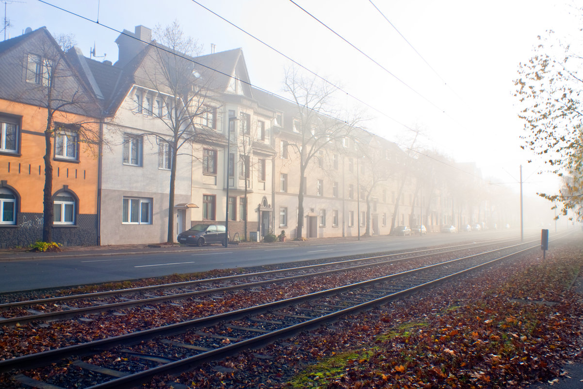 Артём Костюшин - Утренний туман в Дюссельдорфе, Германия - Фотоконкурс Epson