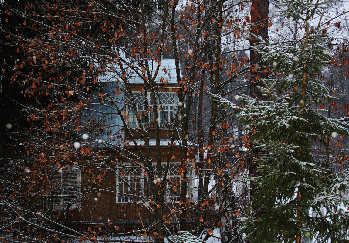 Первый снег за окном - Татьяна Нижаде