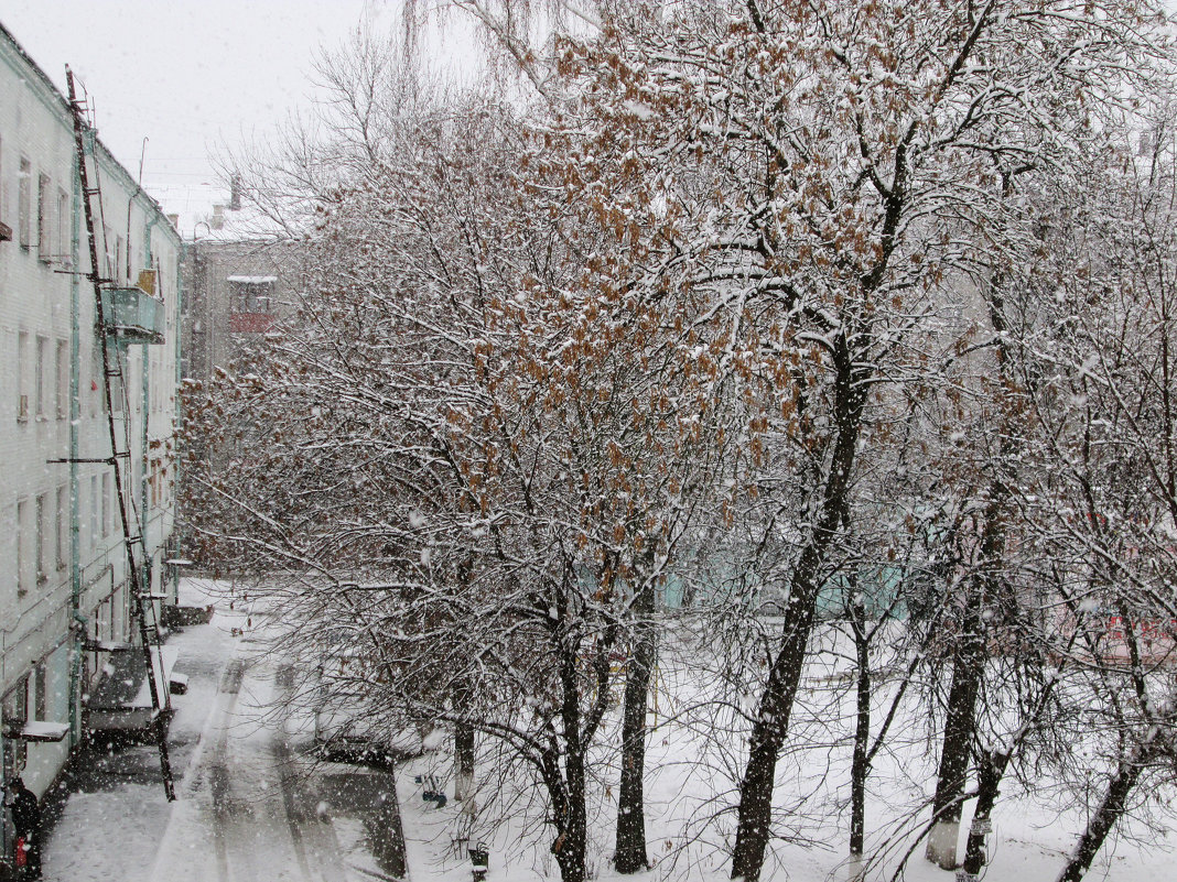 *** - Валентина Береснева