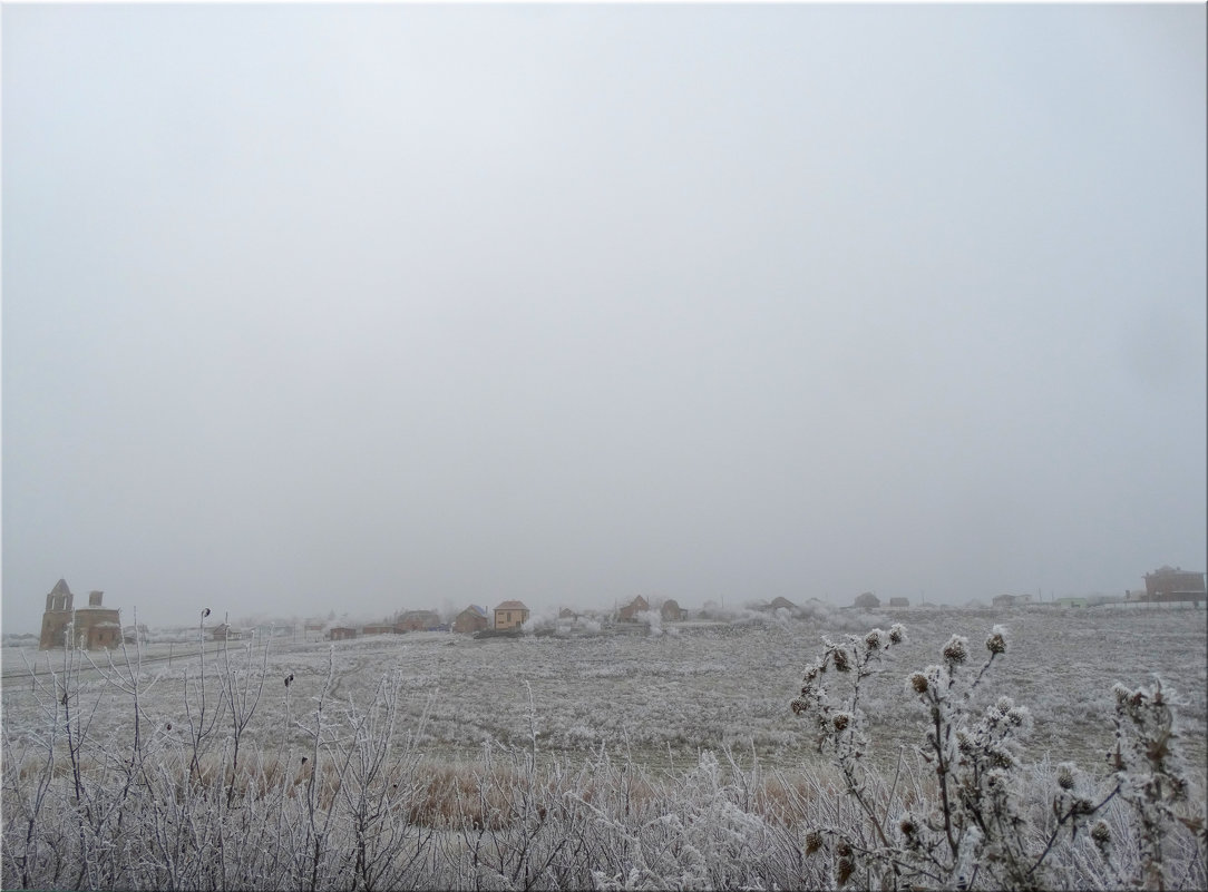 Сельский пейзаж  зимним  туманным утром... - Тамара (st.tamara)