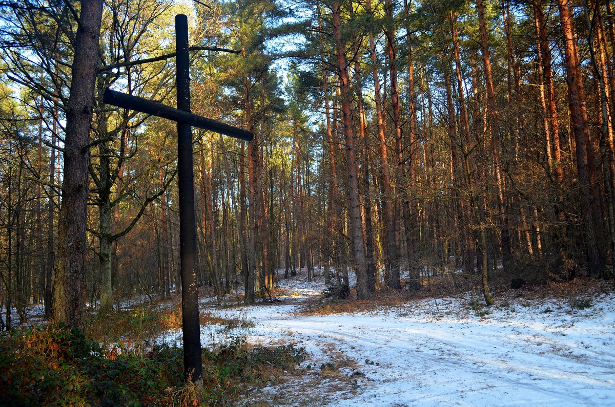 Крест у лесной дороги - Ростислав 