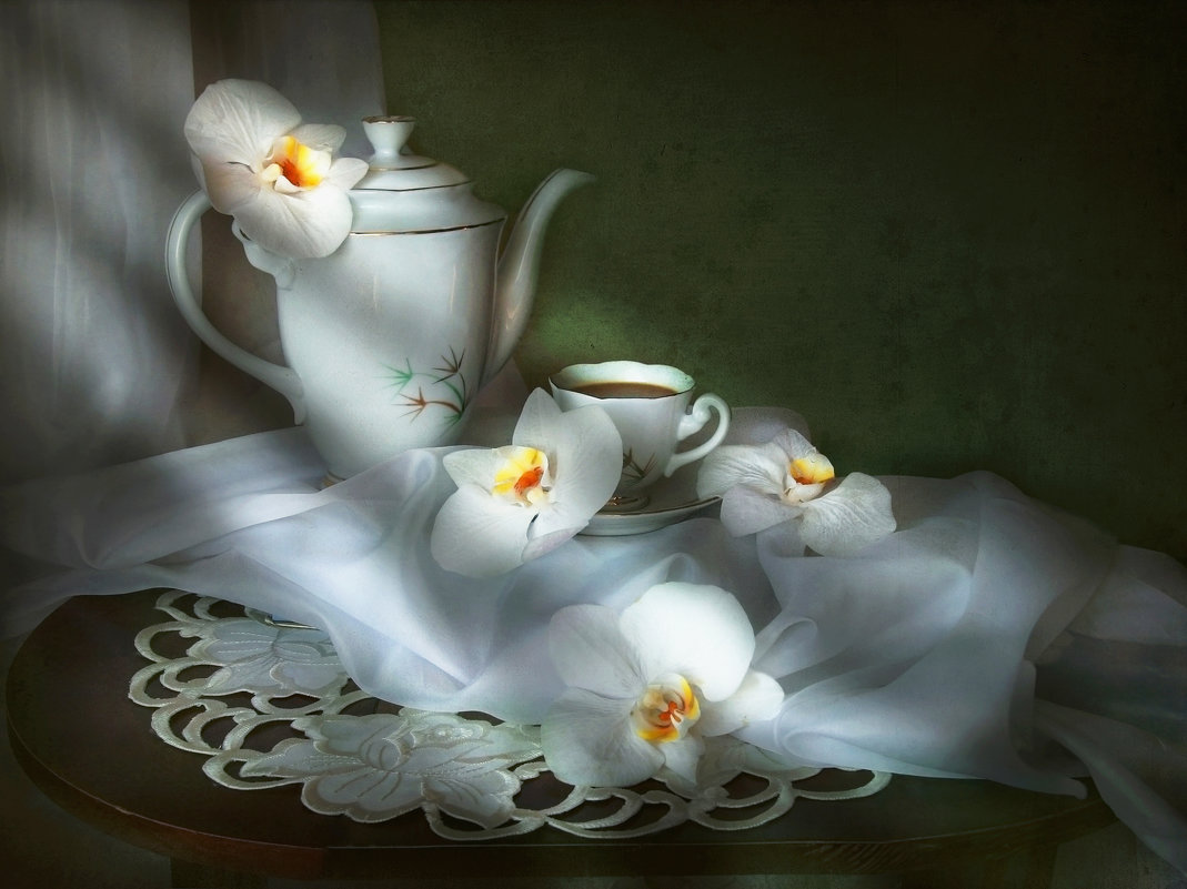 Этюд с белыми орхидеями - lady-viola2014 -