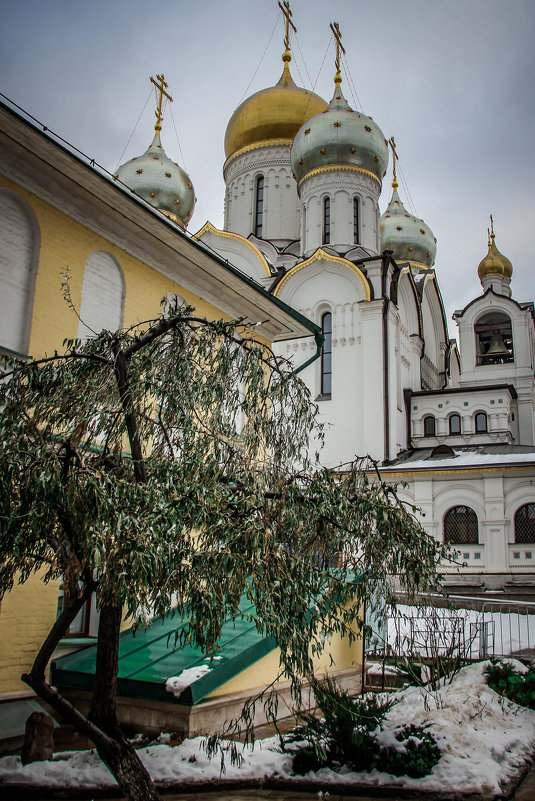 Зачатьевский женский монастырь - Владимир. ВэВэ