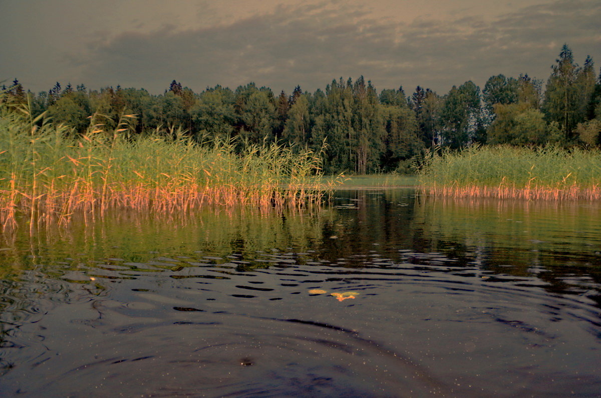 Вечер на озере - Валерий Талашов