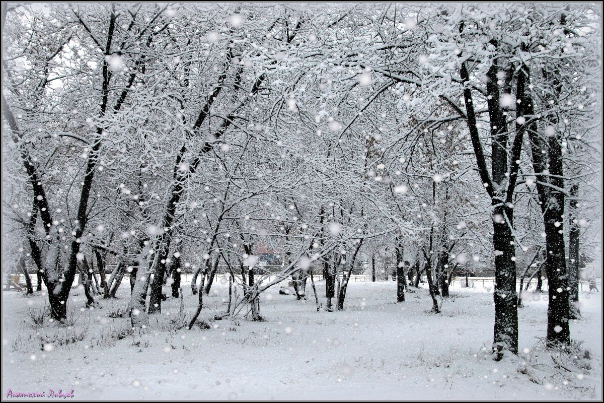 А снег идёт,  а снег идёт - Анатолий Ливцов