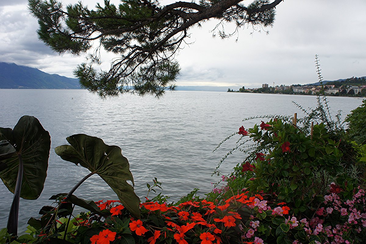 Набережная. Панорама Женевского озера и Французских Альп - Елена Павлова (Смолова)