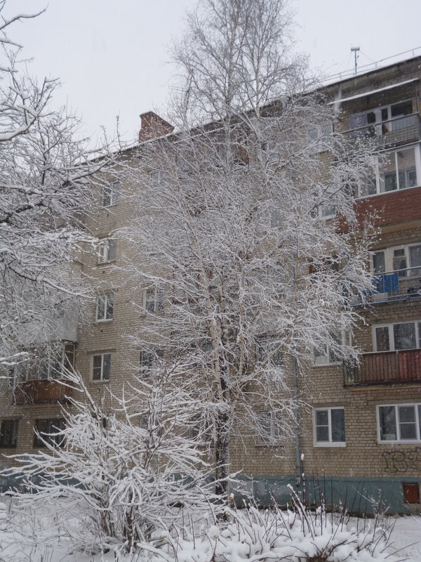 Зимой во дворе - шубнякова 