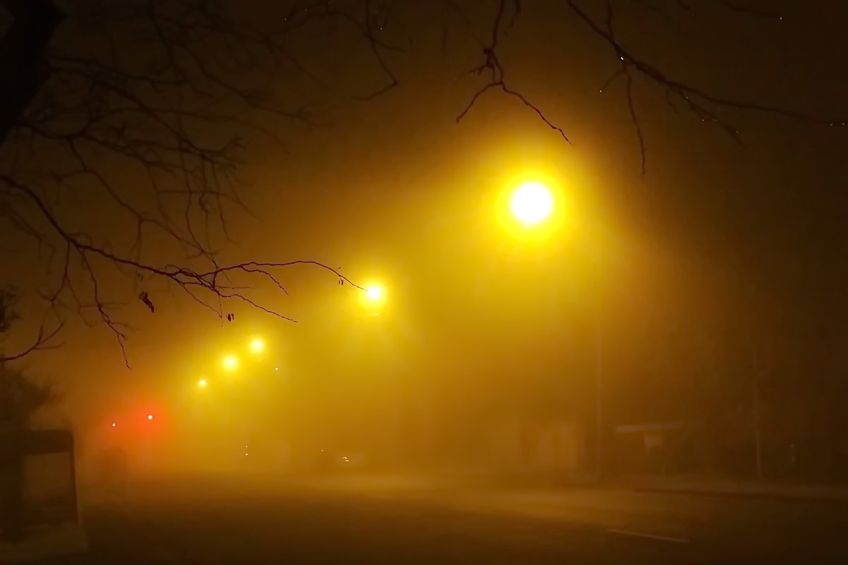 Ночной туман - Анатолий Коробейников