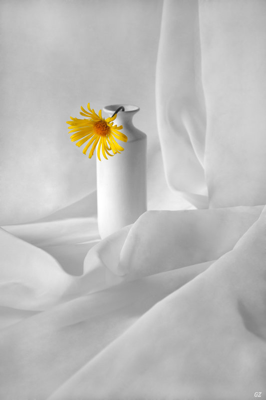 Желтый цветок в белой вазе - Галина Galyazlatotsvet