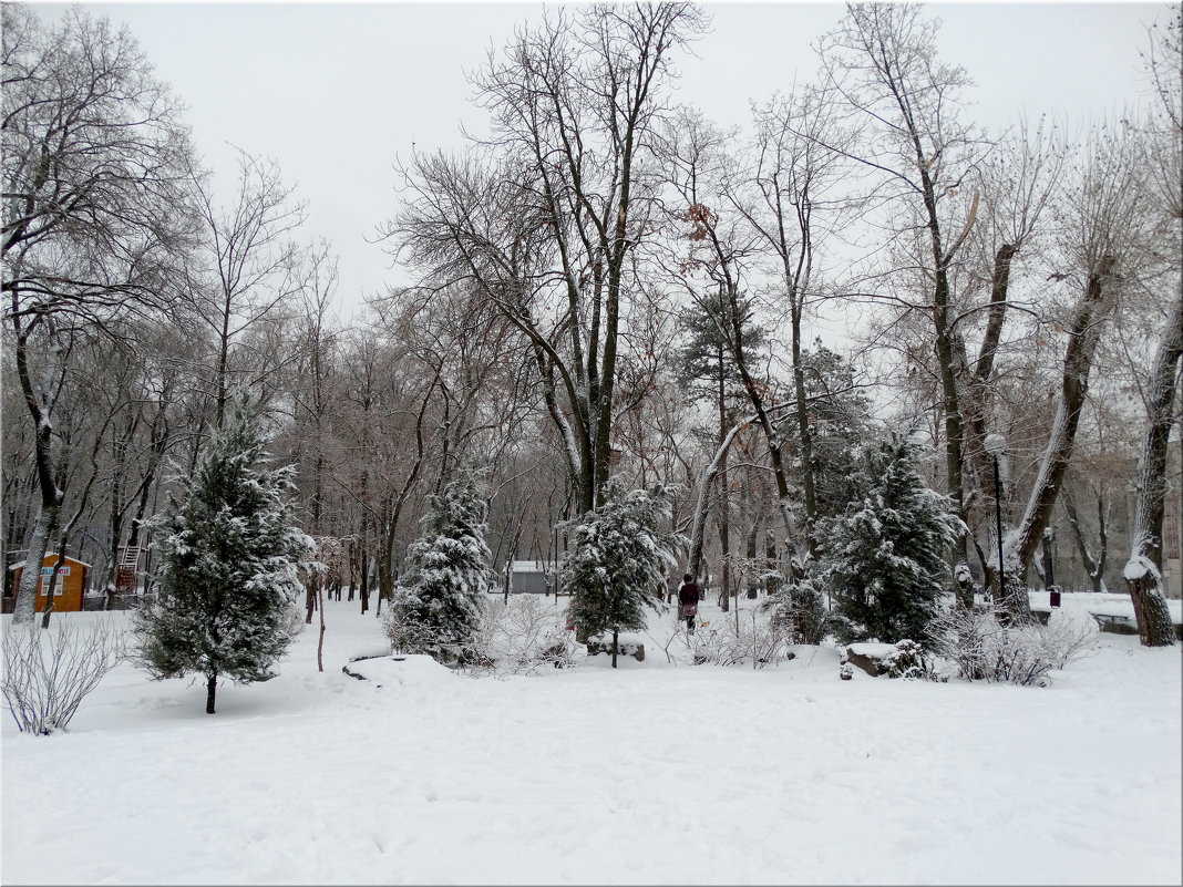 Первый день зимы в парке...5 - Тамара (st.tamara)
