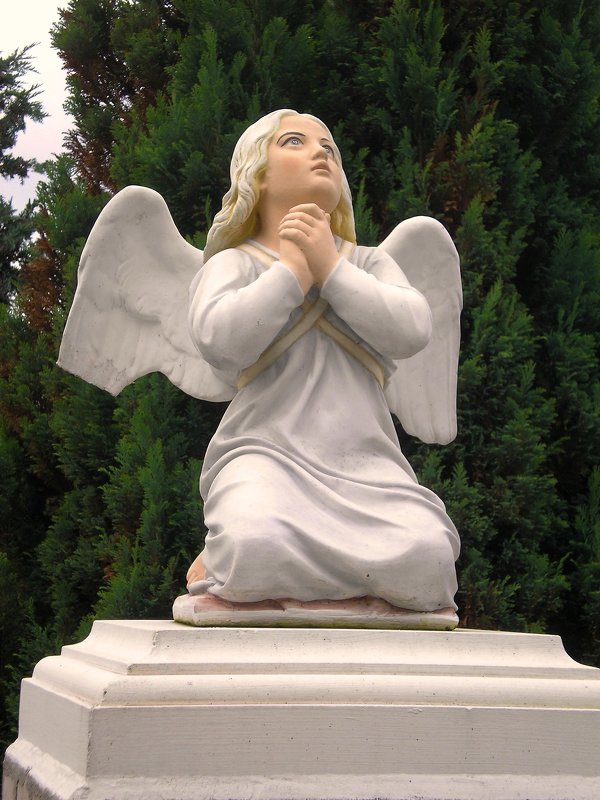 Ангел со сломанным крылом - Сергей Карачин