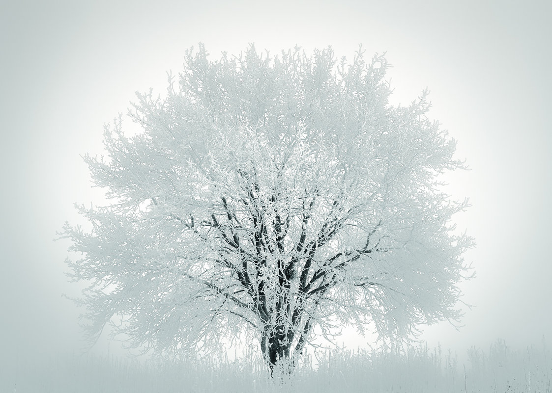 Мороз, туман, рассвет - Игорь Белоконь