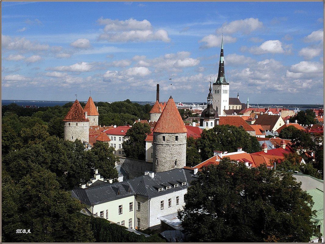 Таллинн, старый город - Вера 