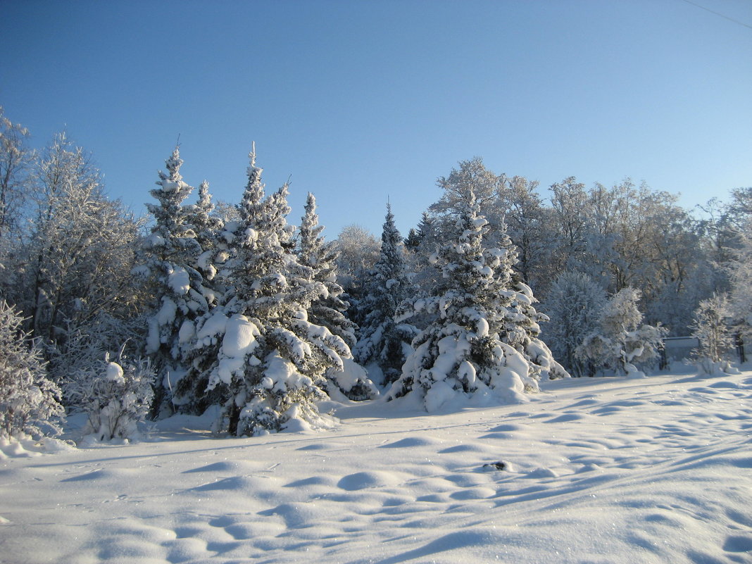 Зимний пейзаж - laana laadas