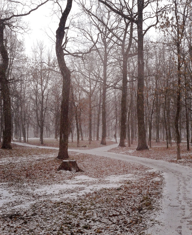 *** - Валентина Береснева