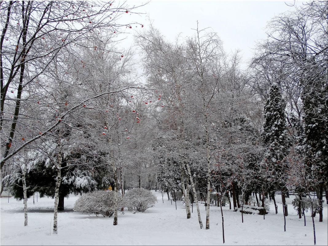 В зимнем парке...3 - Тамара (st.tamara)