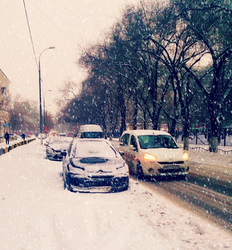 Снегопад - Александр 