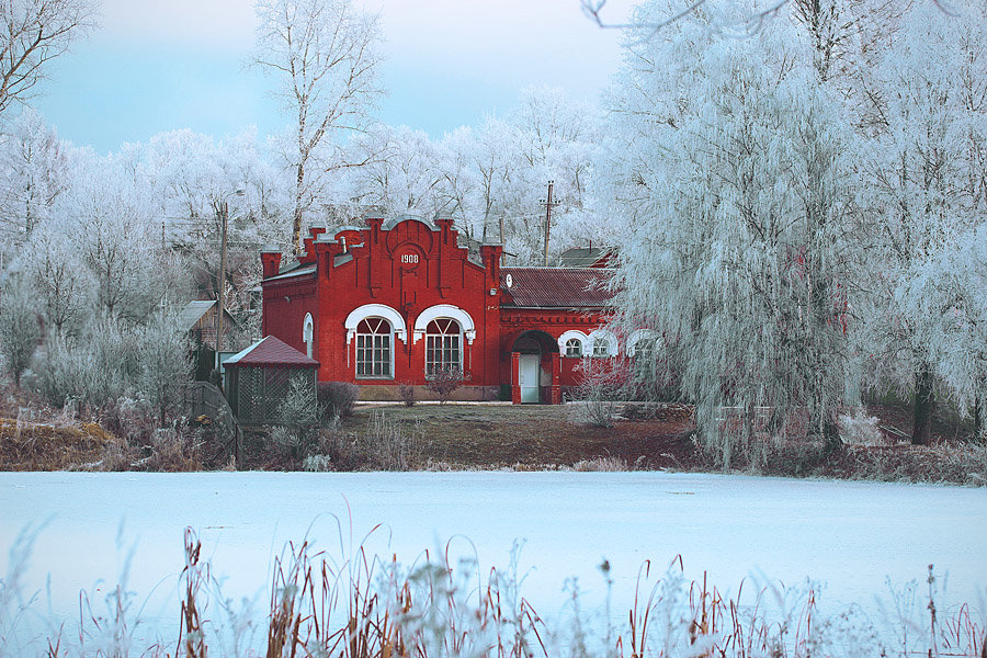 Бывшая водокачка - Василек photo