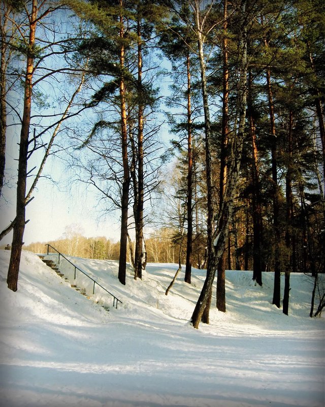 В Битцевском парке - Валентина (Panitina) Фролова