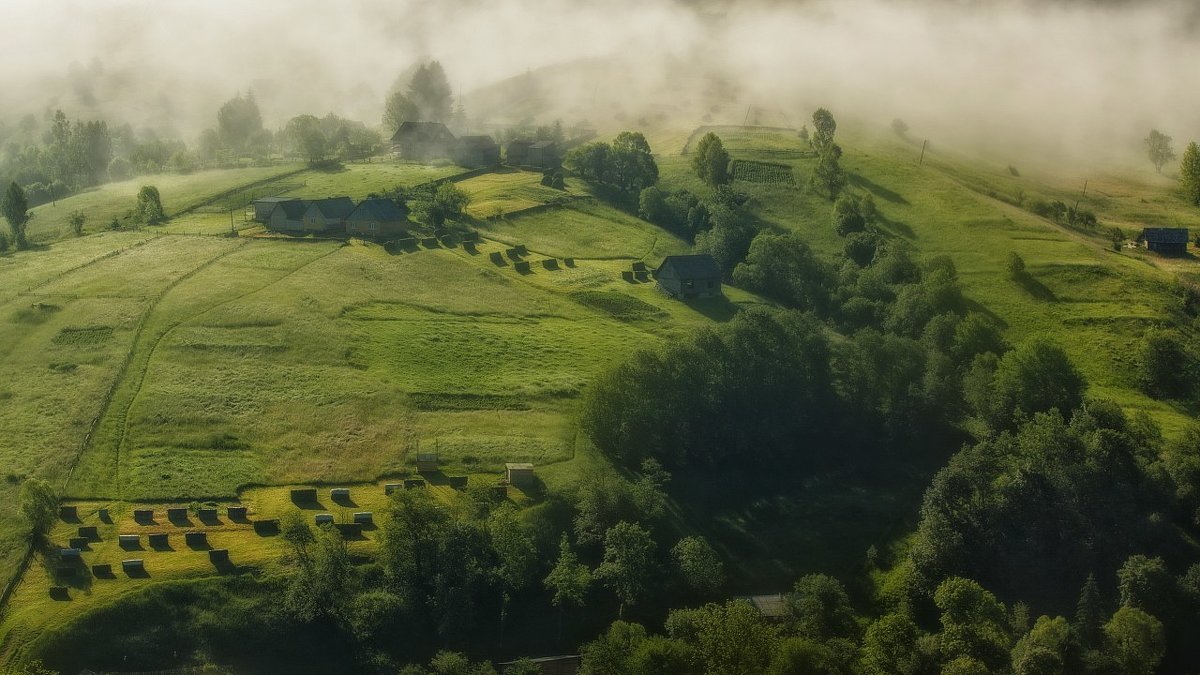 *** - Андрій Кізима