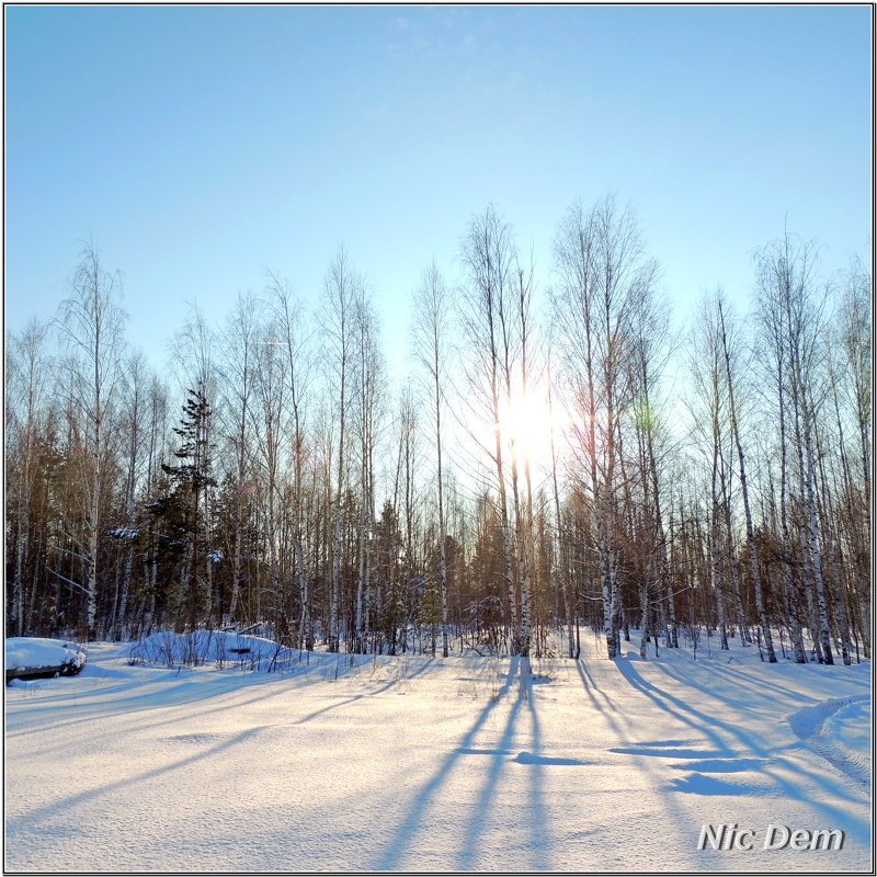 В морозный день - Николай Дементьев 