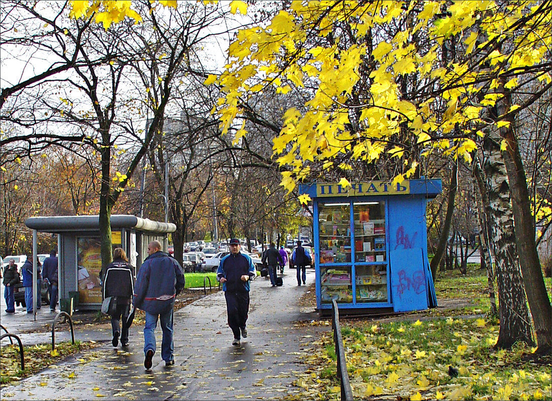 Золотая осень в Москве - Владимир 