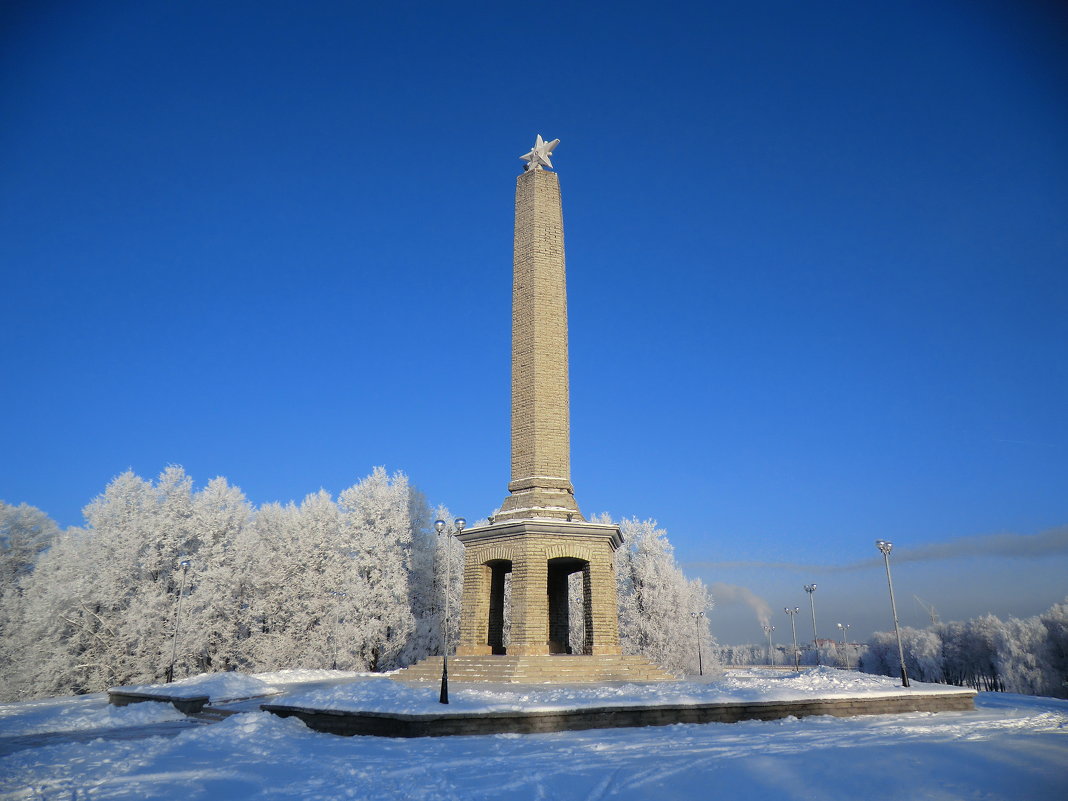 Великие Луки, иней 28.12... - Владимир Павлов