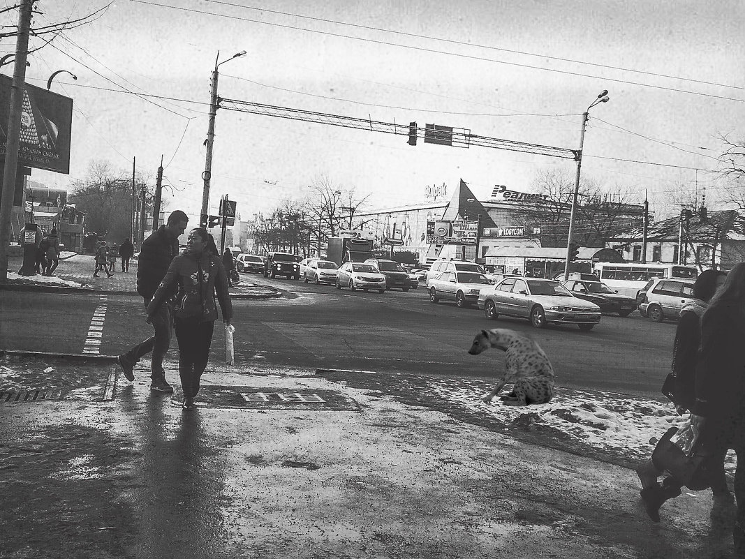 Оттепель: гиена в городе - Alexei Kopeliovich