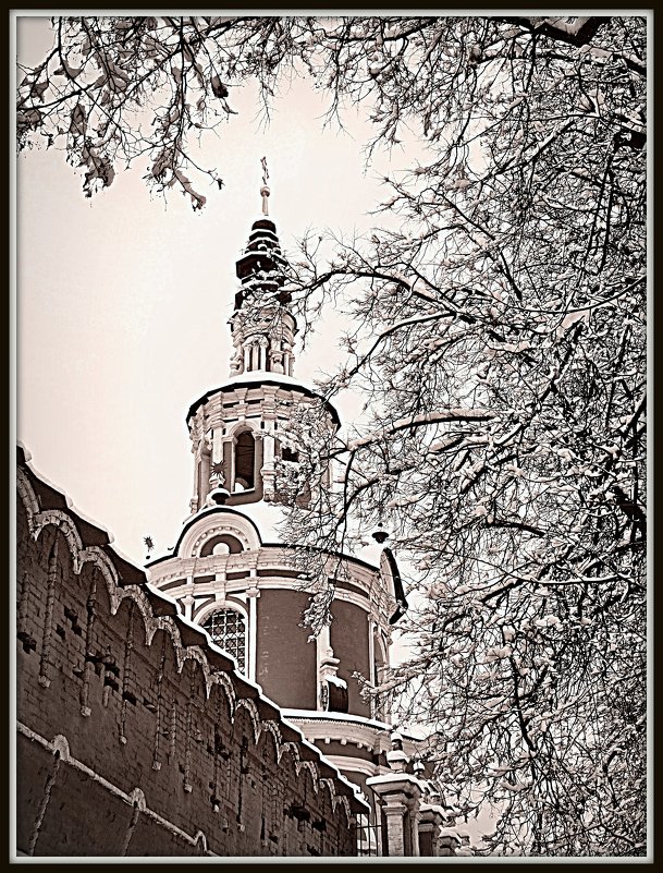 Надвратная церковь Донского монастыря. Москва - Михаил Малец