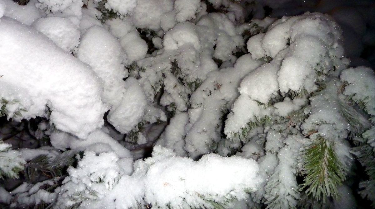 Пушистый снег - Лариса Корженевская