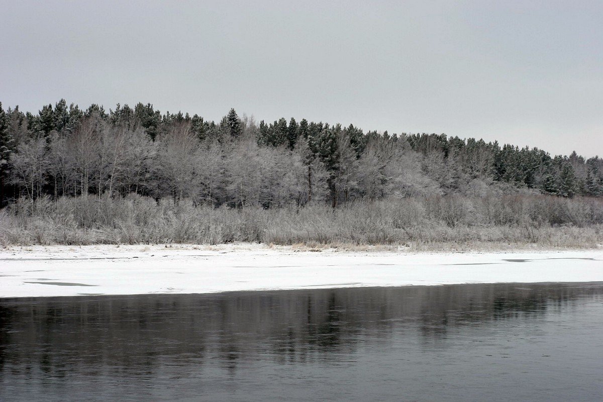 *** * - Николай Елисеев