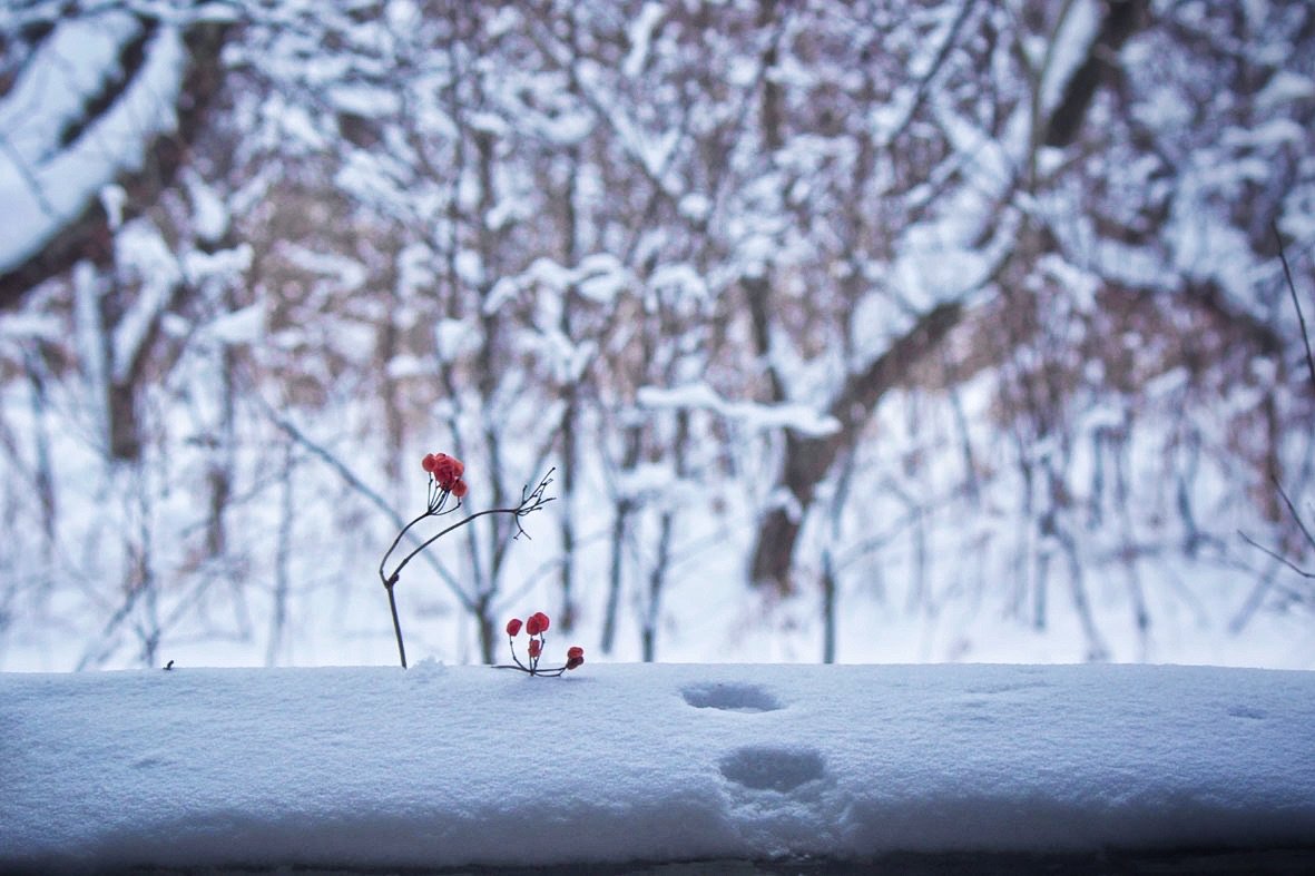 Зима - Svetlana Sneg