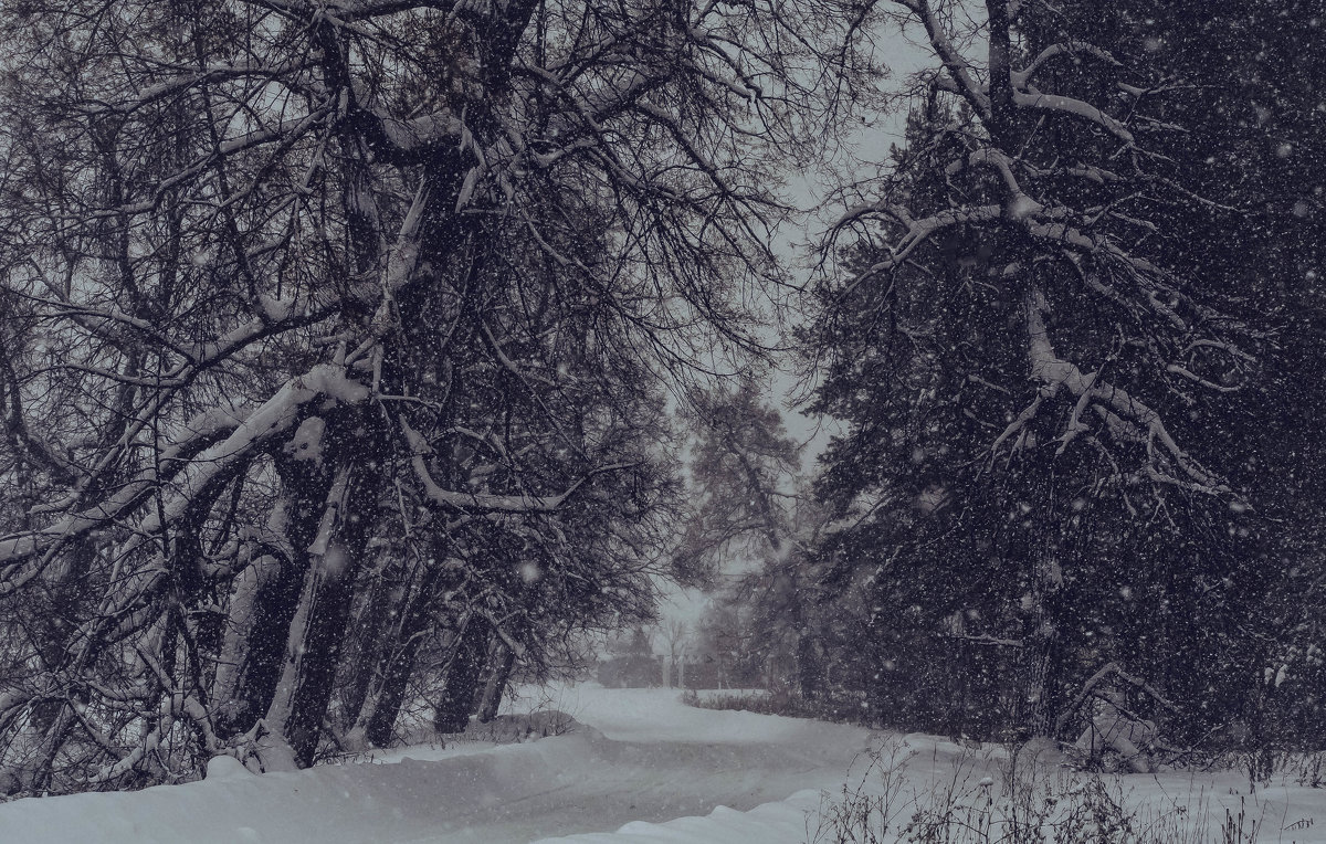 снегопад - Ирина Кулагина