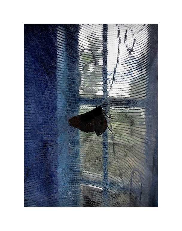 бабочка №13 - sv.kaschuk 