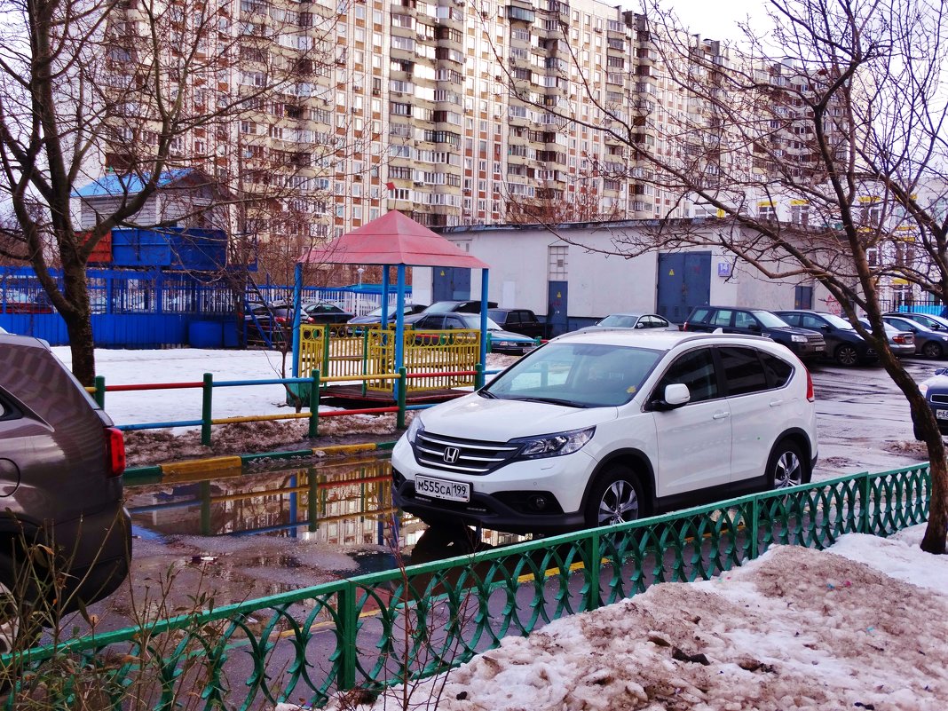 Лужи в январе - Светлана Лысенко