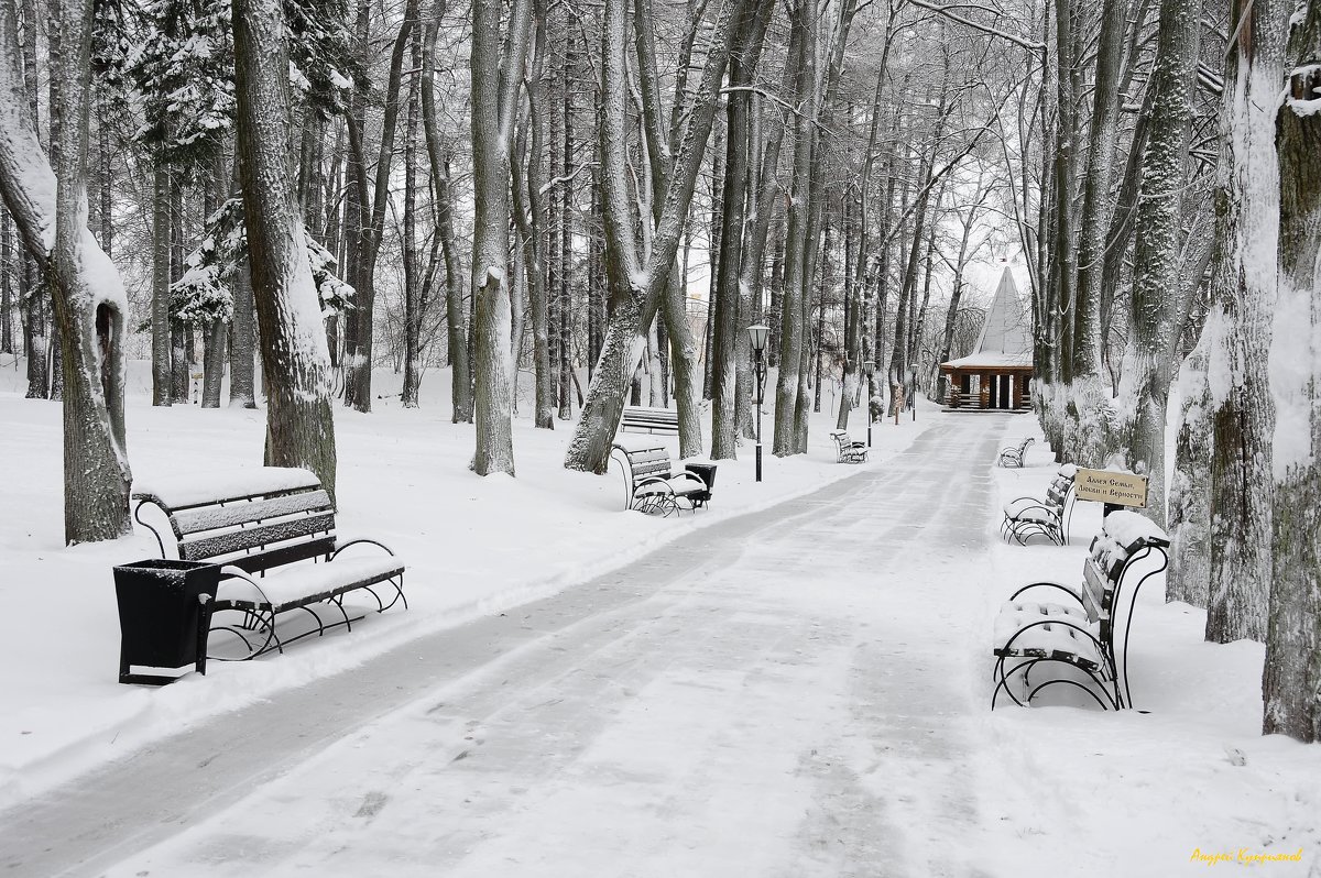 В зимнем парке - Андрей Куприянов