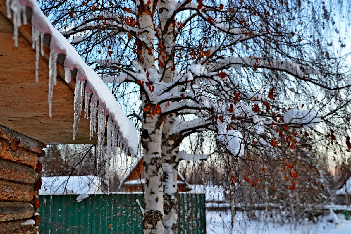 утро - Елена Третьякова