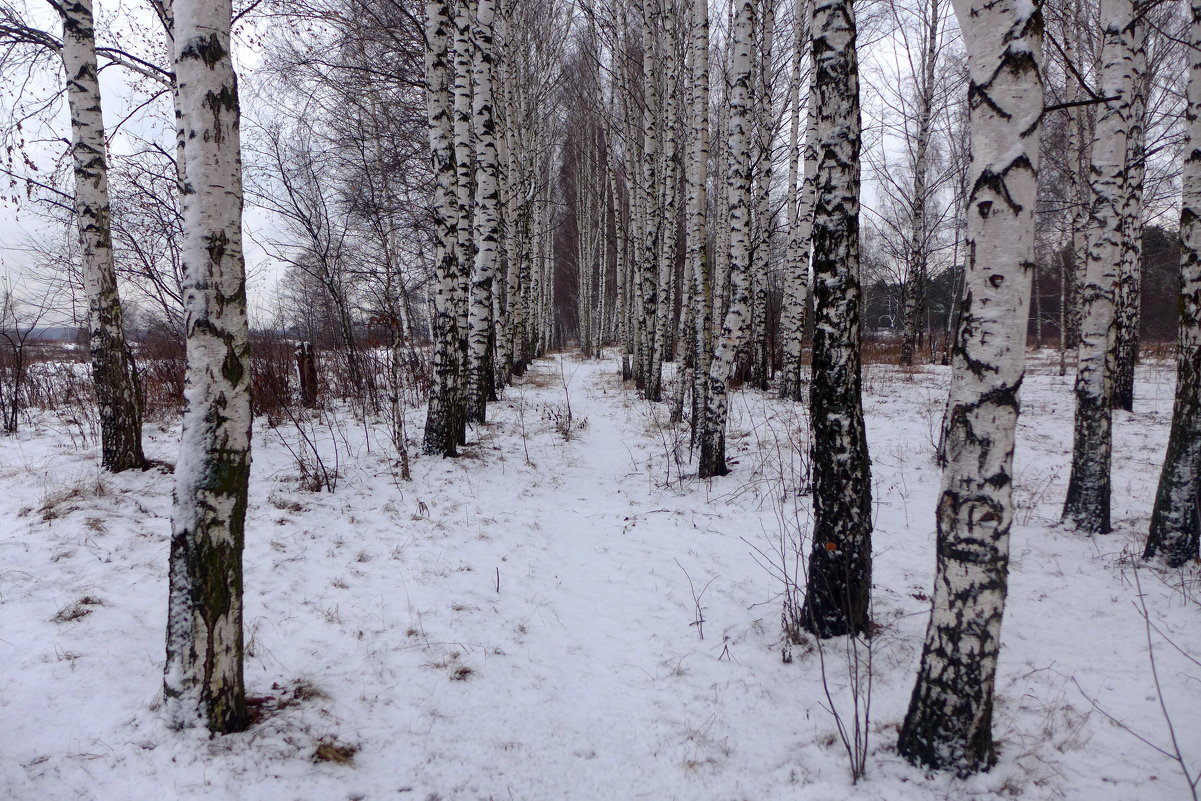 Зима 2014-15г - Иван 