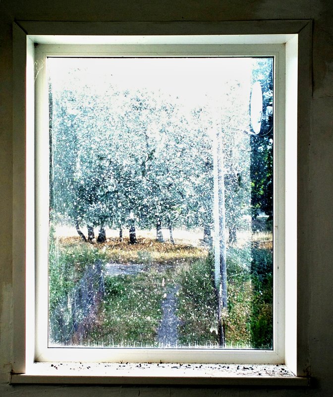 Из окна - Николай Филоненко 