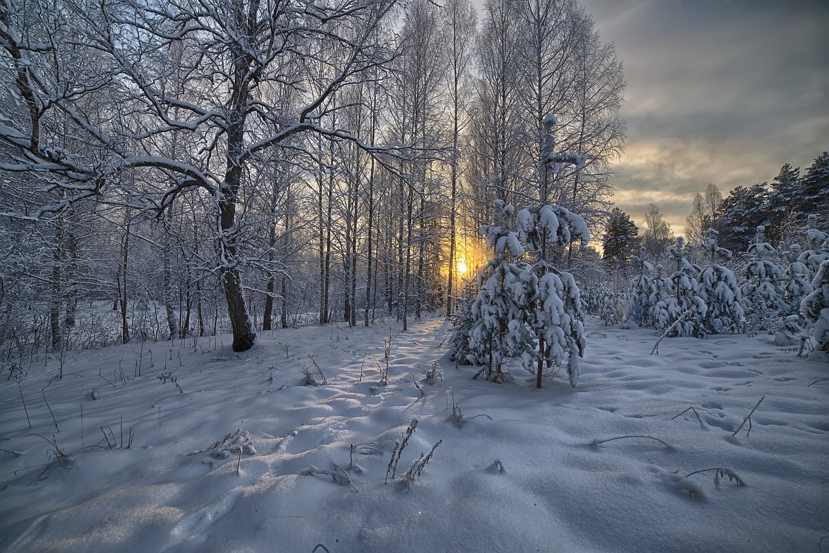 вечер зимний - Андрей Иванов