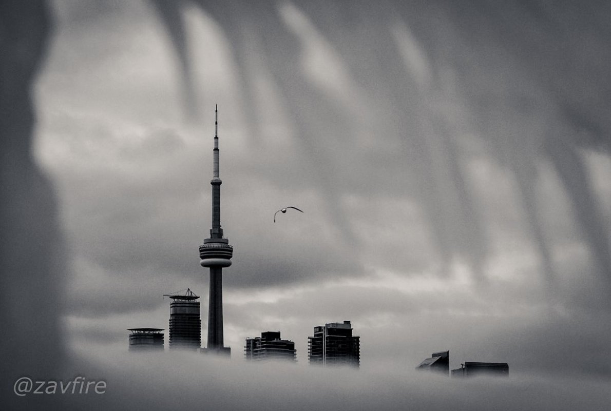 CN Tower - Andy Zav